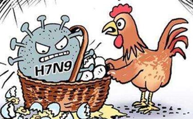 Bird Flu Confirmed In 9 States For Poultry 12 States For Crow Wild Birds Including Jandk 4573